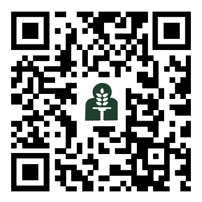 手機(jī)官網(wǎng)